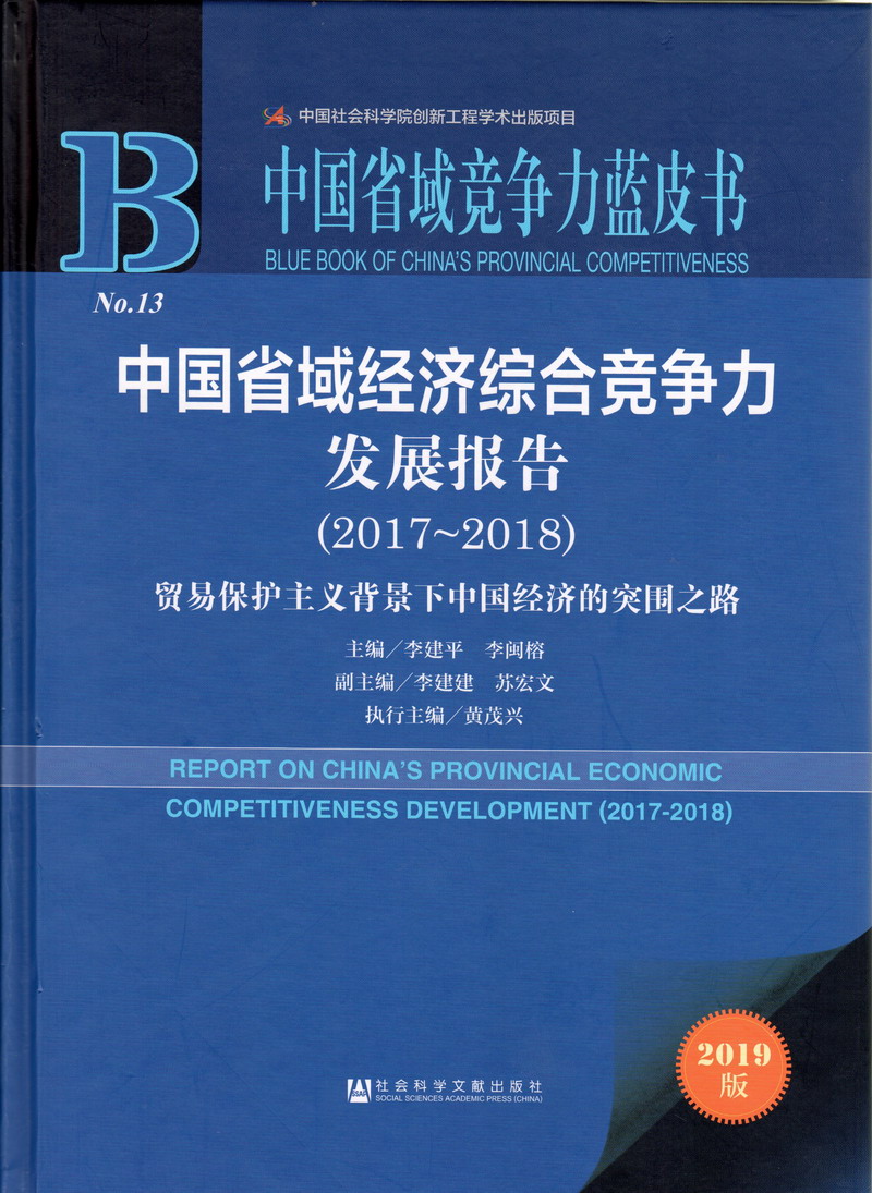 女人被插网站中国省域经济综合竞争力发展报告（2017-2018）